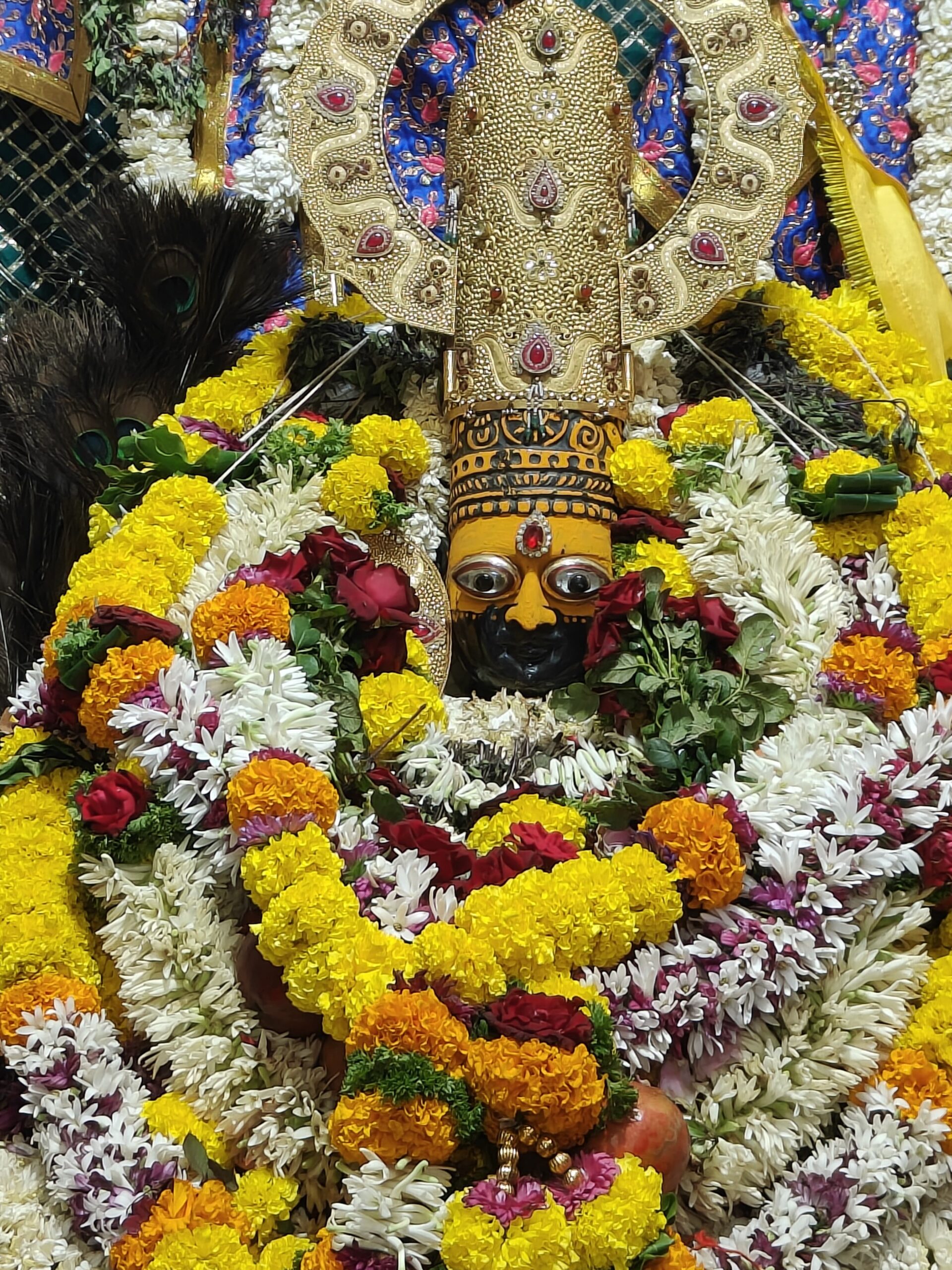 Maa Narayani Darshan