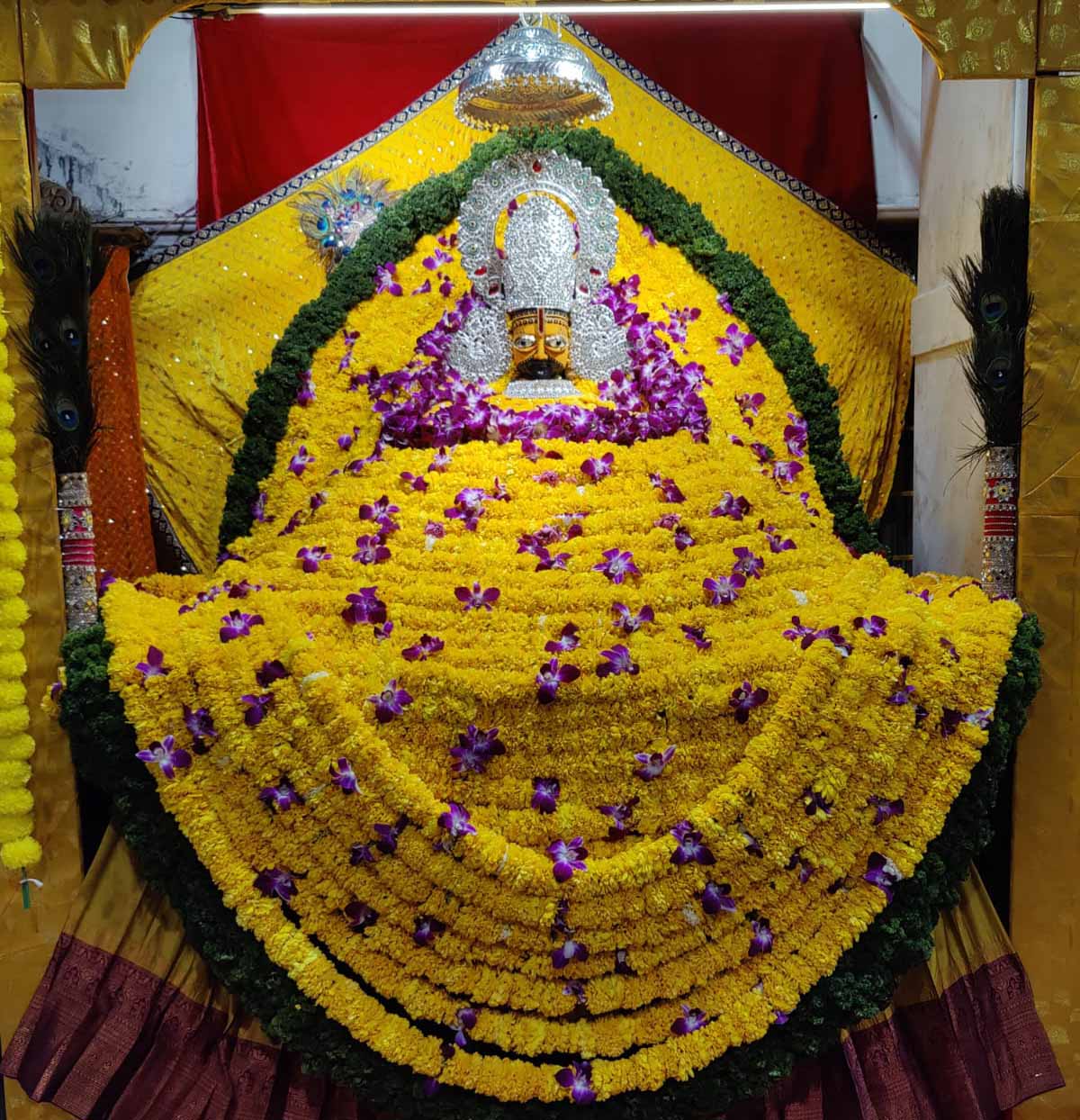 Narayani Dham New Gallery