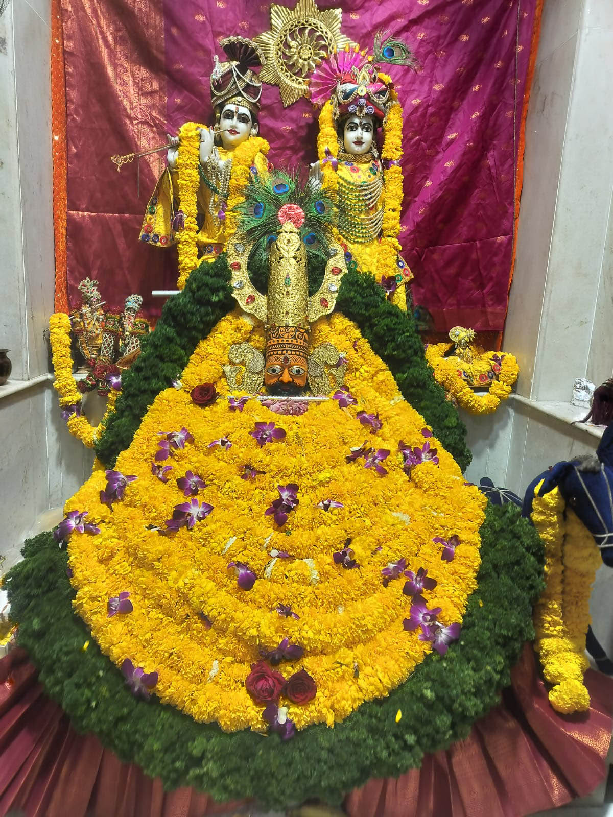 Narayani Dham New Gallery